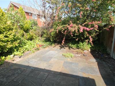 Picture 7